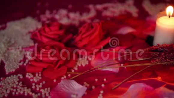 红玫瑰和蜡烛燃烧的镜头情人节视频的预览图