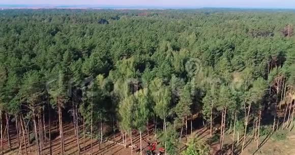 松林采伐伐木鸟瞰工业规模的毁林视频的预览图