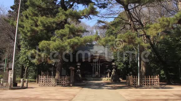 东京赤川神社传统寺庙视频的预览图