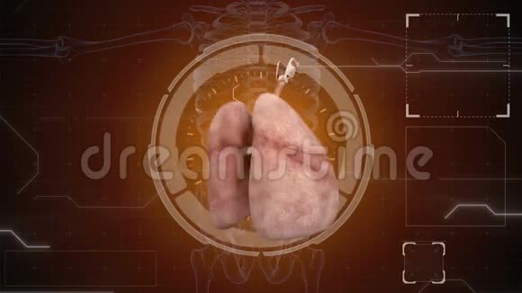 人体解剖学人的肺哈德背景医学概念解剖未来视频的预览图