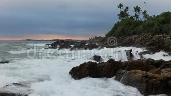 日落时热带海滩岸边的棕榈树斯里兰卡视频的预览图