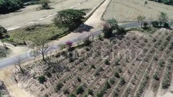 鸟瞰乡村农场田野三农景象视频的预览图