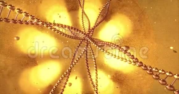 带有DNA分子漩涡的金色几何背景3D染循环4k视频的预览图