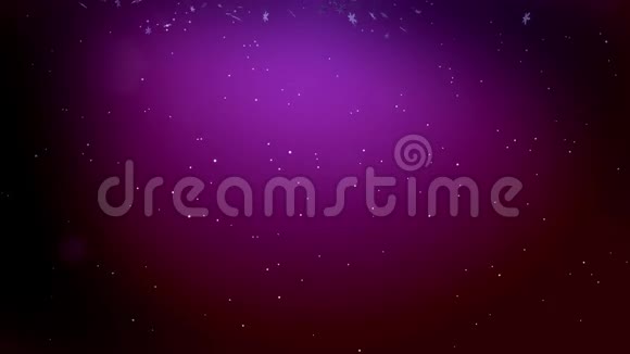 装饰的3d雪花在空气中缓慢地漂浮在紫色的背景上发光作为圣诞动画使用新视频的预览图