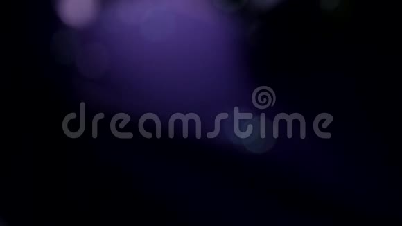 特写动画自动聚焦镜头肥皂泡在空气中混沌地在霓虹灯蓝色的暗底上移动视频的预览图