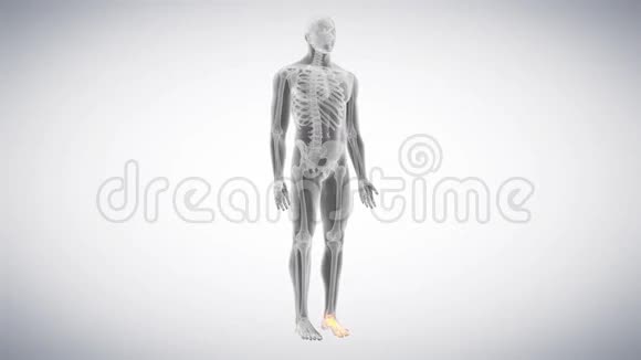 骨骼脚视频的预览图