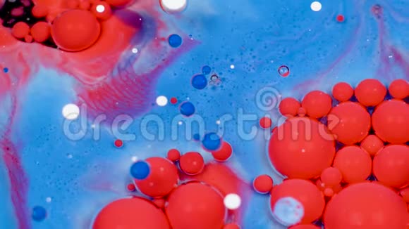 令人惊叹的红色和蓝色油漆气泡在油表面油漆视频的预览图
