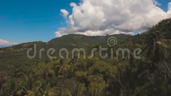 带有棕榈树的热带景观菲律宾视频的预览图
