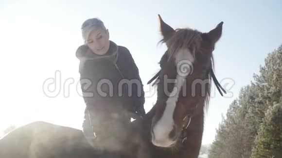 骑手女孩在骑马视频的预览图