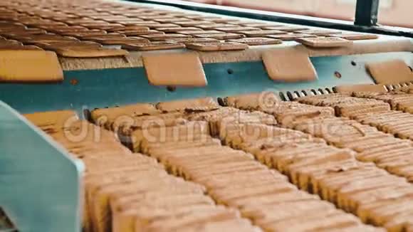 饼干制造工厂工艺输送机视频的预览图