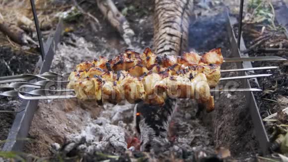 在大自然的火上煮鸡肉视频的预览图