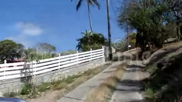 乘汽车穿越热带岛屿视频的预览图