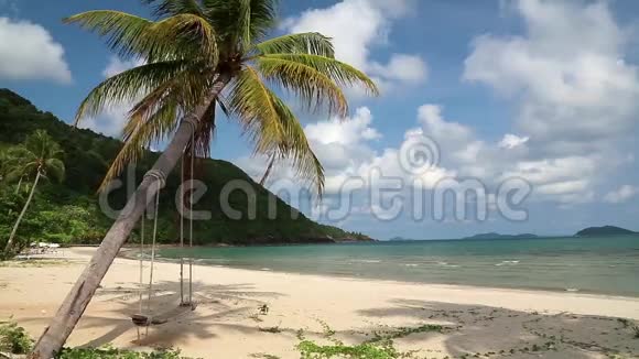 美丽的海景海滩和棕榈树的秋千视频的预览图