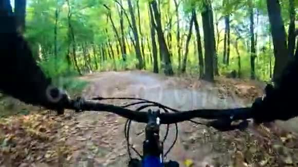 秋天公园骑自行车的业余骑手视频的预览图