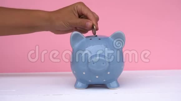 猪银行储蓄理念视频的预览图