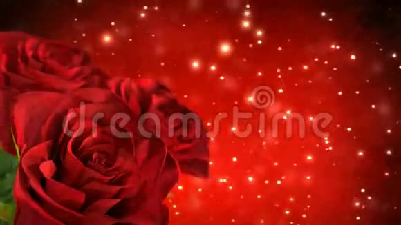 旋转红玫瑰与波克粒子三维渲染无缝回路视频的预览图