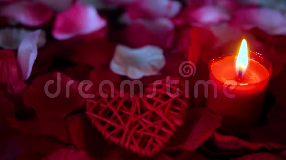 情人节快乐蜡烛燃烧玫瑰花瓣镜头视频的预览图