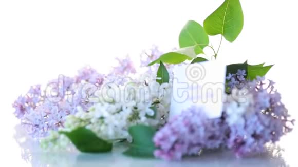 春天盛开的紫薇花束隔离在白色上视频的预览图