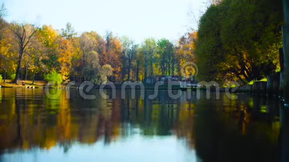 秋天的风景公园里的湖树上五颜六色的叶子视频的预览图