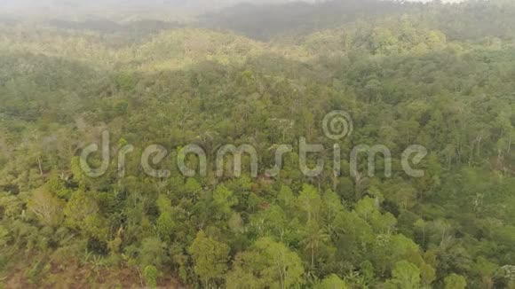 热带景观雨林和山脉视频的预览图