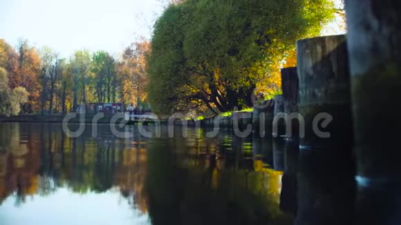 秋天的风景公园里的湖树上五颜六色的叶子视频的预览图