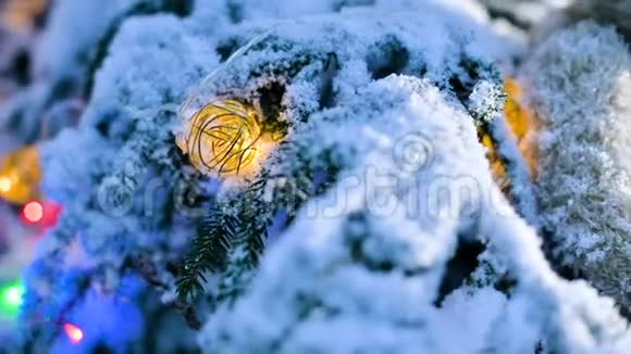 在灯光的背景下在冬天的森林里在一棵白雪覆盖的活泼的树上一个圣诞玩具视频的预览图