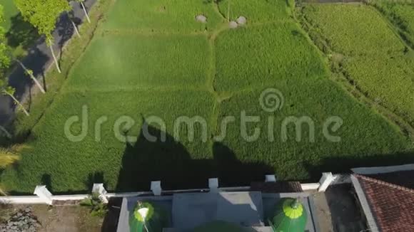 爪哇印度尼西亚稻田清真寺视频的预览图