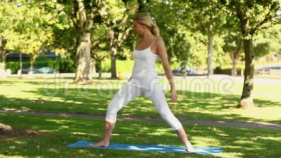 美丽的金发女人在公园里做瑜伽视频的预览图