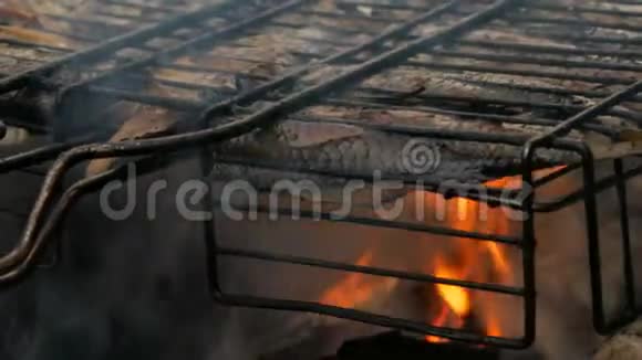淡水河鱼鲫鱼烧烤火烧烤合近景美味的烤鱼视频的预览图