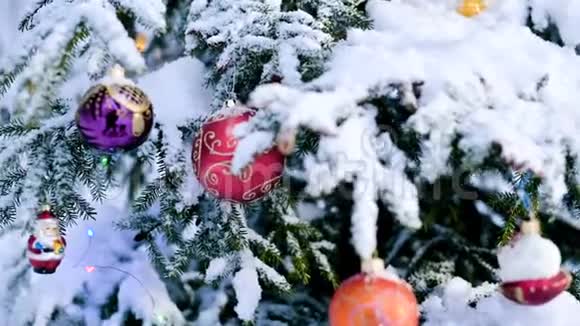 在灯光的背景下在冬天的森林里在一棵白雪覆盖的活泼的树上一个圣诞玩具视频的预览图