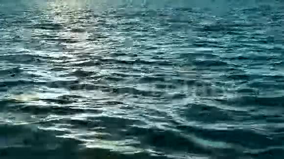 大海水视频的预览图