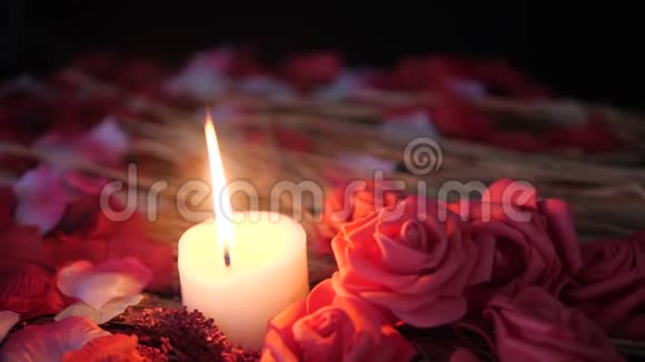 玫瑰花瓣的足动蜡烛燃烧和玫瑰花情人节视频的预览图