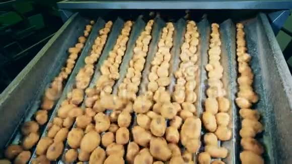 食品厂输送机在工厂输送机上分拣马铃薯视频的预览图