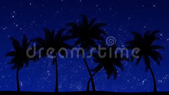 夜间棕榈树动画高清背景视频的预览图