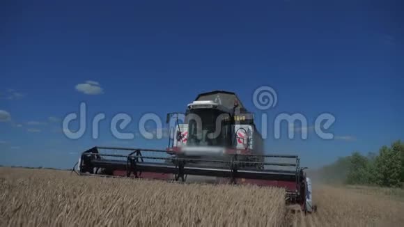 联合收割机收割小麦慢动作视频收获农业概念结合田间收获生活方式视频的预览图