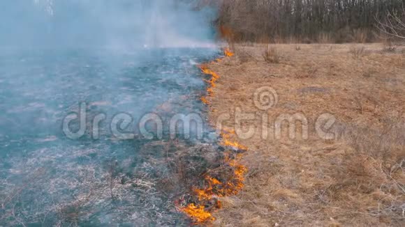 森林里的火燃烧干草树木灌木和干草堆与烟雾慢动作视频的预览图