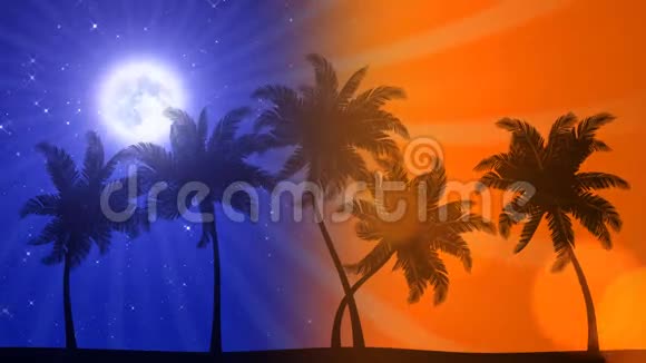 棕榈树夜日动画高清背景视频的预览图
