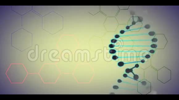 全高清视频DNA在运动视频的预览图