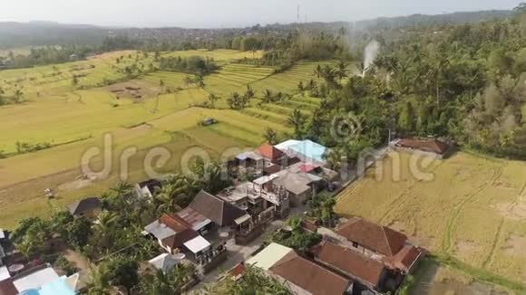 印度尼西亚农业用地的热带景观视频的预览图