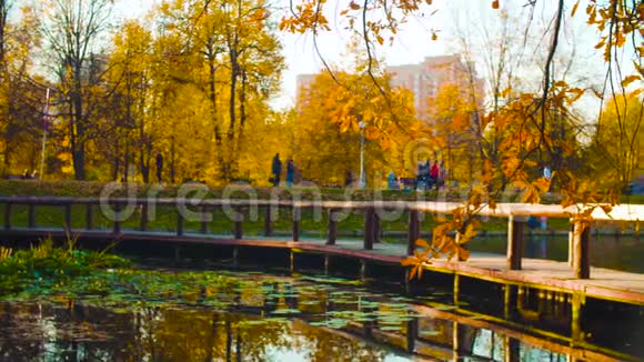 秋天的风景公园里的湖秋季季节视频的预览图