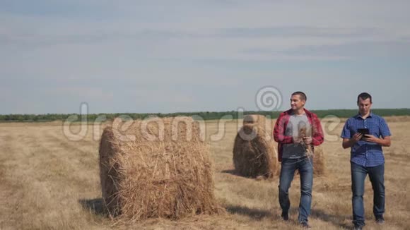 团队农业智慧农业理念两个男农民在数字平板电脑上走在田里的干草堆上视频的预览图