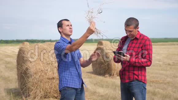 团队农业智慧农业理念两名男子农民在数字平板电脑上研究干草堆视频的预览图