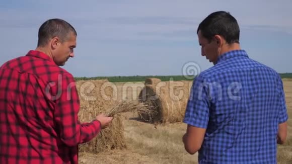 团队农业智慧农业理念两个男农民在数字平板电脑上走在田里的干草堆上视频的预览图