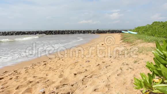 斯里兰卡热带海滩视频的预览图