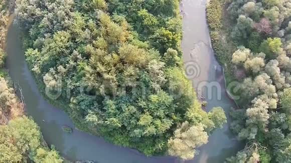 穿过树林和向日葵田野的河流视频的预览图