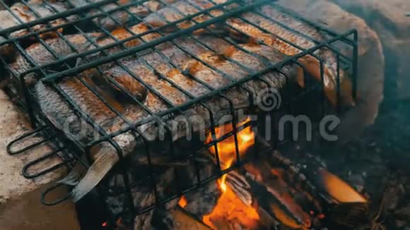 淡水河鱼鲫鱼烧烤火烧烤合近景美味的烤鱼视频的预览图