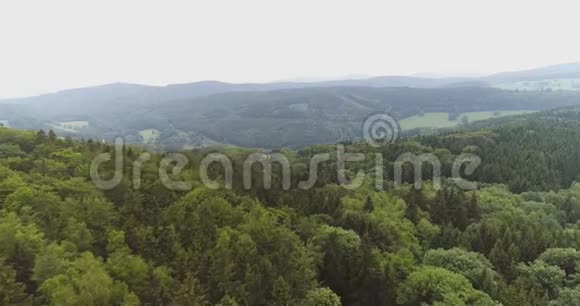 飞过美丽的森林树木景观全景视频的预览图