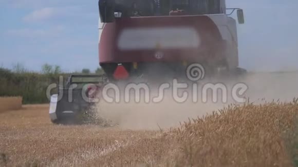联合收割机收割小麦慢动作视频农业收获概念结合田间生活方式的收获视频的预览图