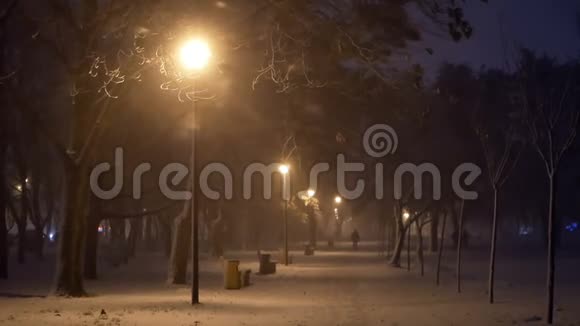 风雪夜城视频的预览图
