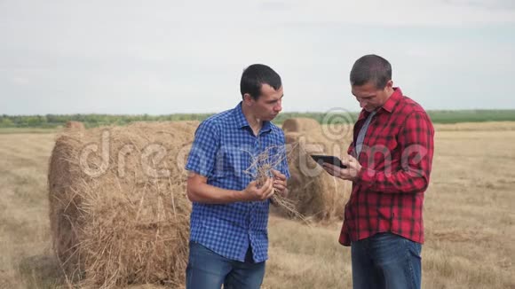 团队农业智慧农业理念两名男子农民工人在网上研究干草堆的野外生活方式视频的预览图